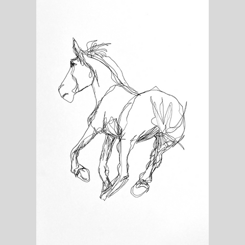 A continuous contour drawing in pen of a horse.