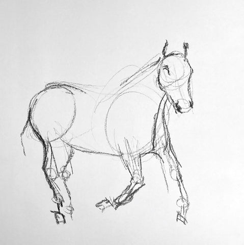 Fast charcoal sketch of a horse. 