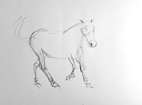 Quick charcoal drawing of a horse.