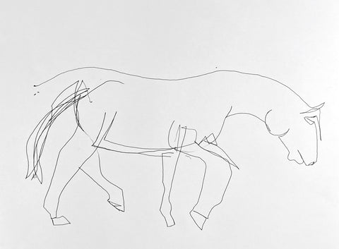 Blind contour drawing of a horse.