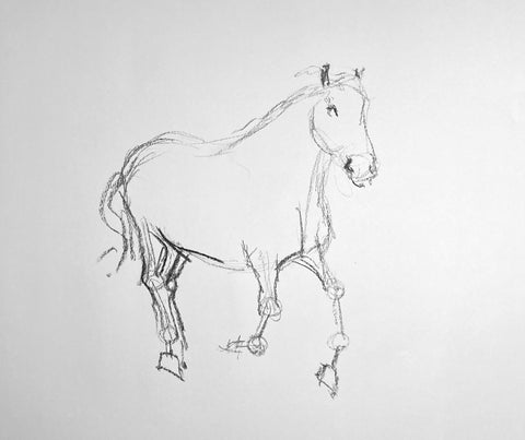 Fast charcoal sketch of a horse. 