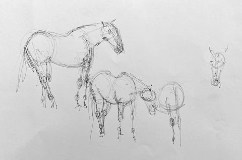 Pen life sketches of horses standing.