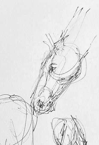 Pen life sketch of a horse's head.