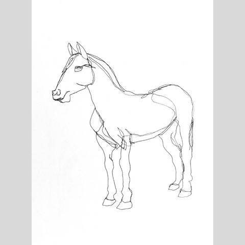 A continuous line drawing in pen of a horse.