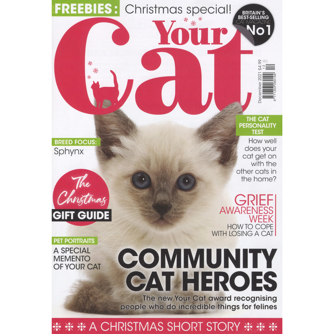 Your Cat Magazine, Roxanne Gooderham Fine Artist