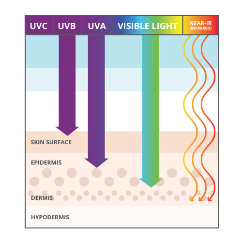 Uv b