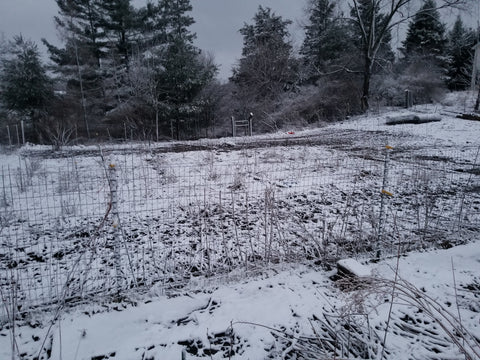 Snow on the April Grains