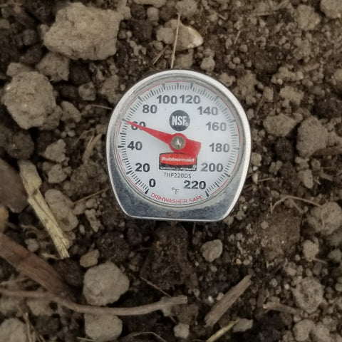 Soil temperature of 60F meets the 55F requirement for corn