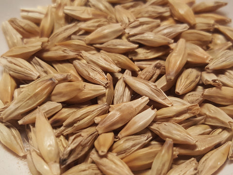 Full Pint barley seeds