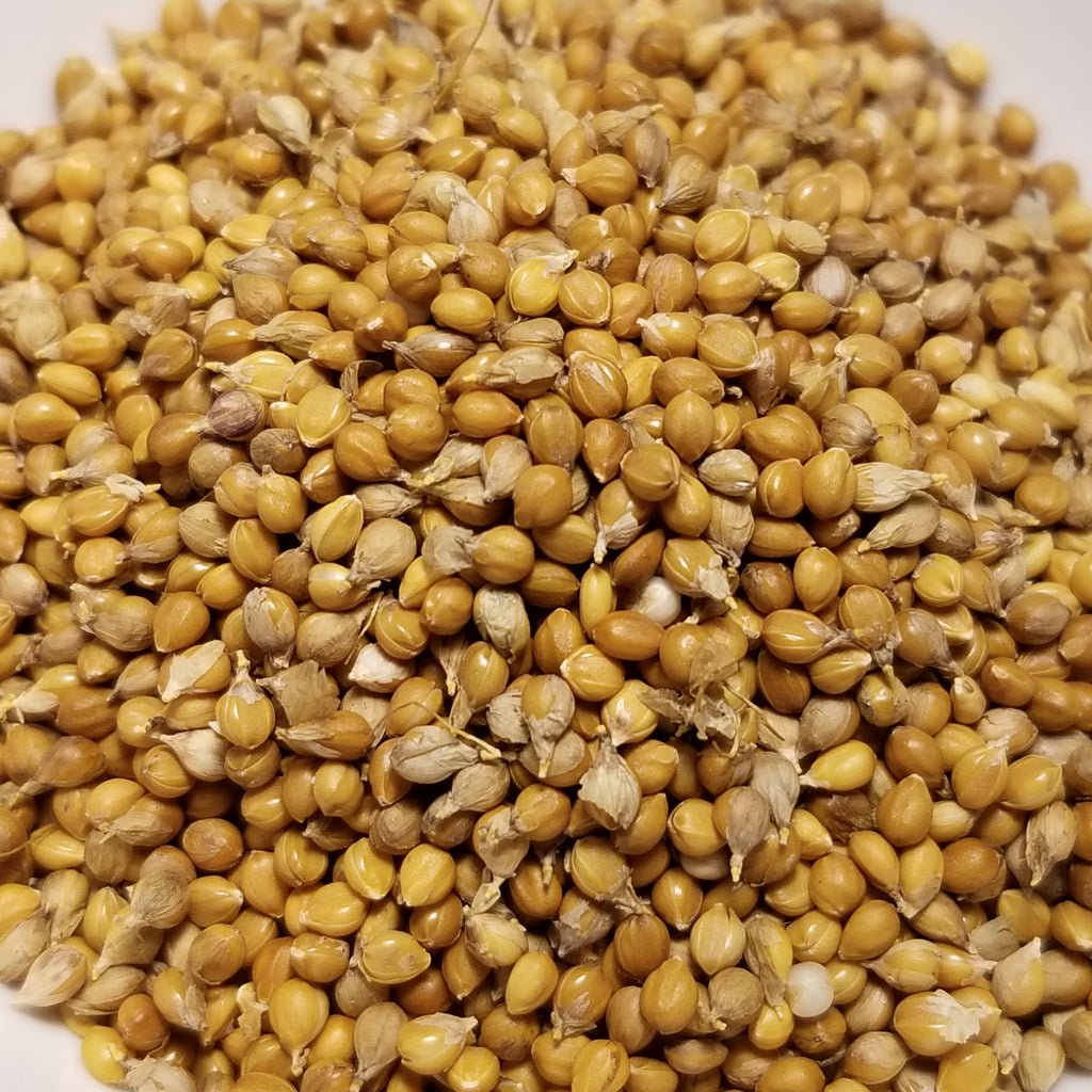 millet seeds