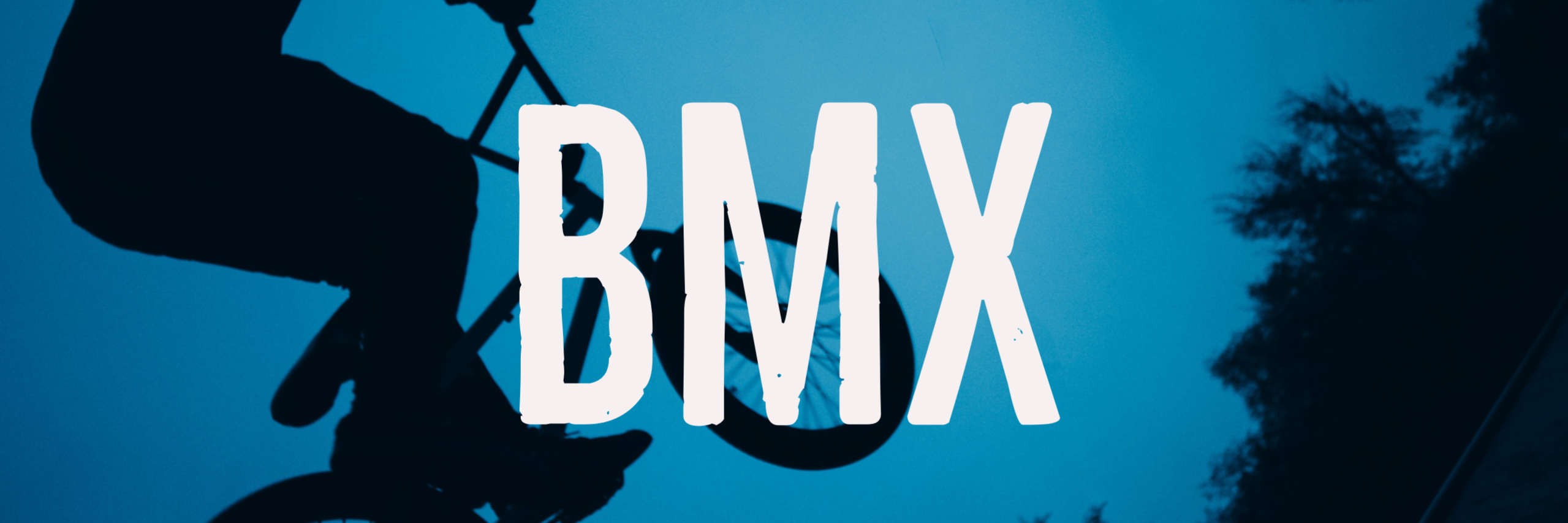 BMX Rider 