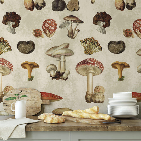 Mushroom Wallpaper - Wallpapers4Beginners