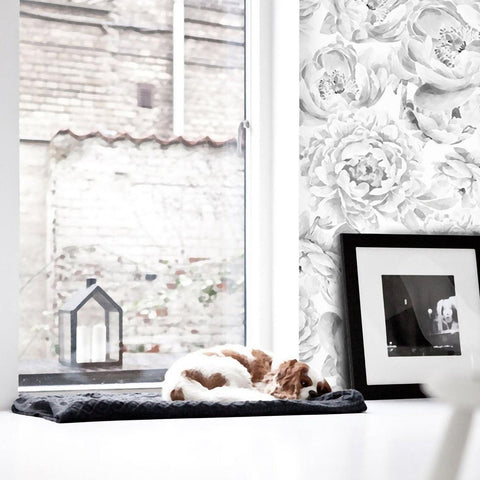 Black and White Peony Flower Wallpaper <br> ★★★★★ - WallpapersforBeginners