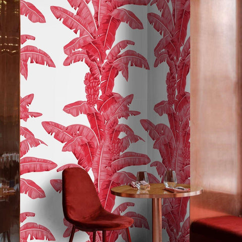 Exotic Palm Wallpaper <br> ★★★★★ - WallpapersforBeginners