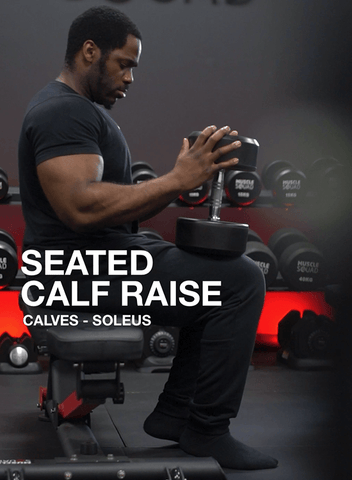 Seated Calf Raise