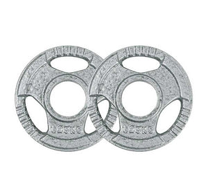 Silverback Cast Iron Olympic Weight Plates – silverbackgymsupplies