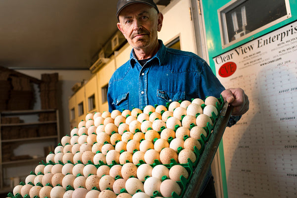 Frank Reese holding heritage turkey eggs