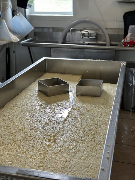 Cheesemaking at Meadow Creek Dairy