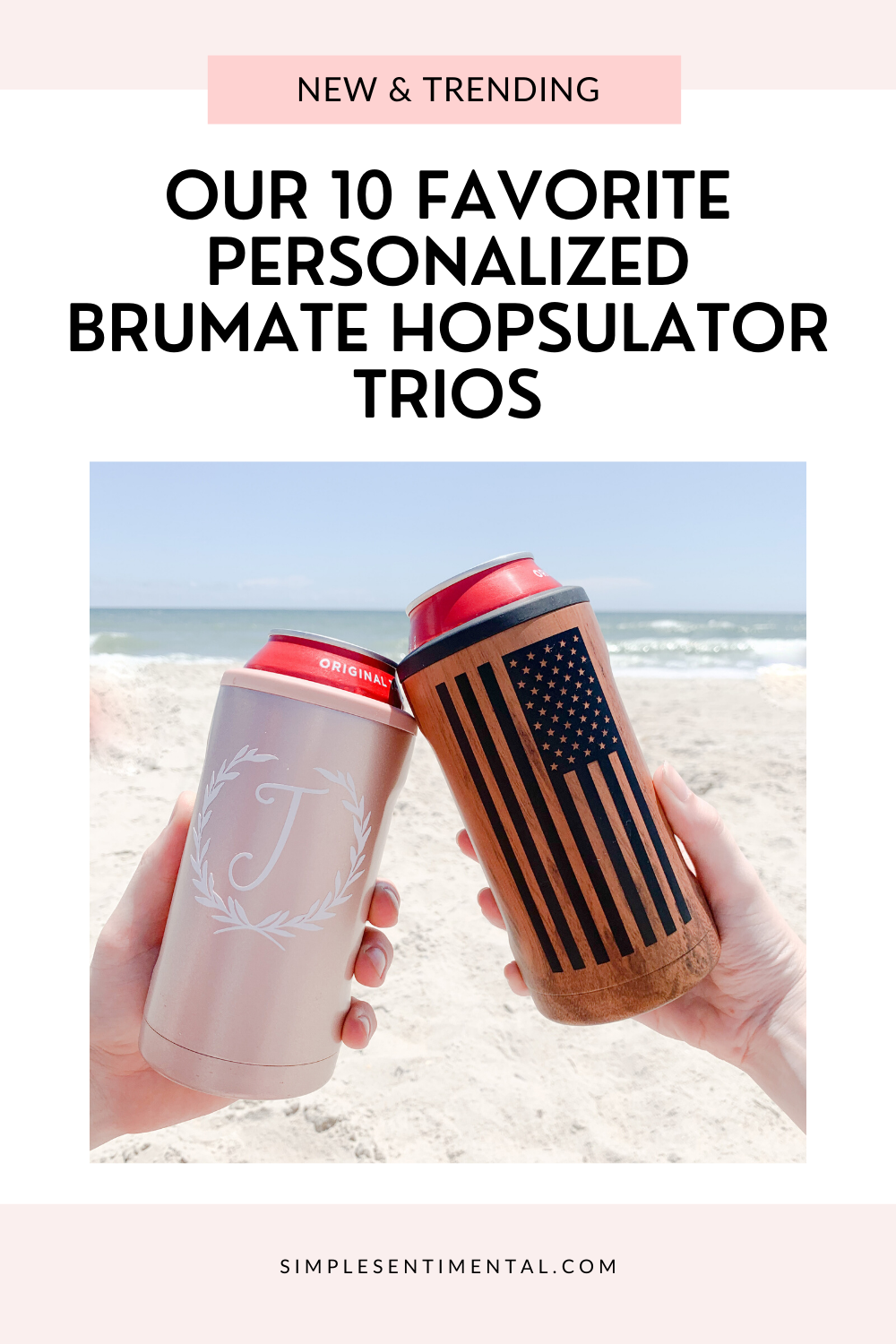 Brumate Hopsulate Trio Can Cooler Custom