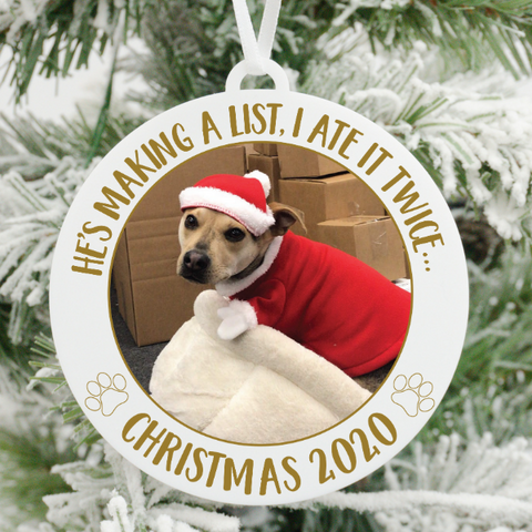 Top 30 Picture Christmas Ornament 2020 | Photo Christmas Ornaments ...