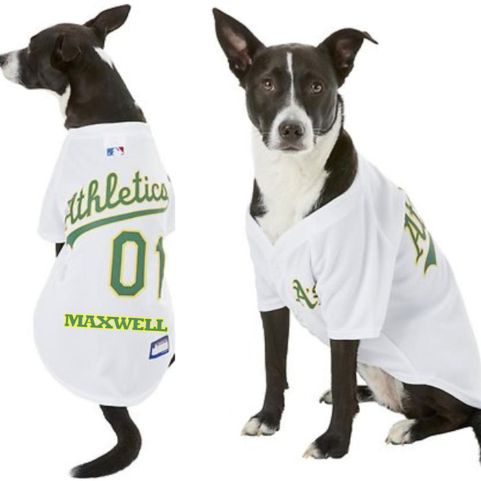 CO Rockies Pet Jersey available at  – 3 Red Rovers