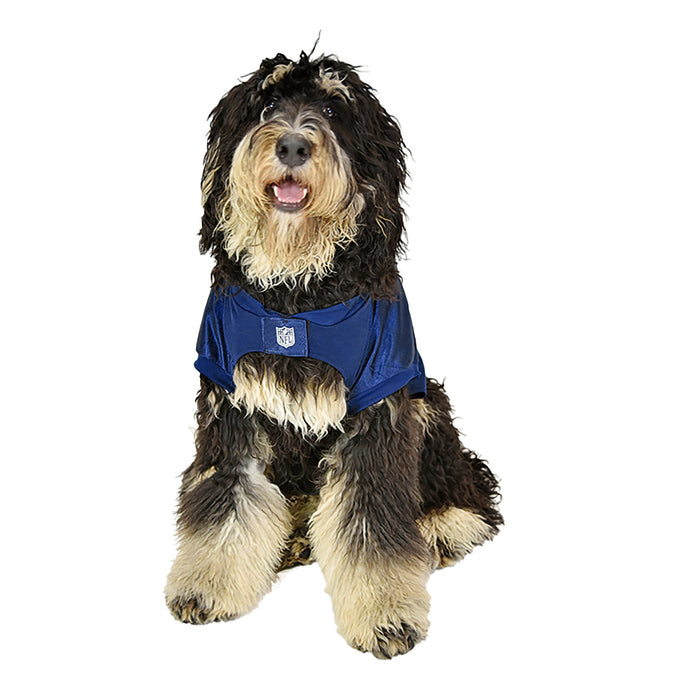 Toronto Maple Leafs Big Dog Stretch Jersey