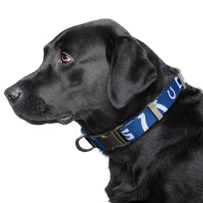 Vancouver Canucks Dog Jerseys, Canucks Pet Carriers, Harness, Bandanas,  Leashes