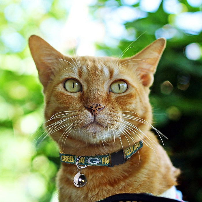 Cleveland Browns Cat Pet Collar