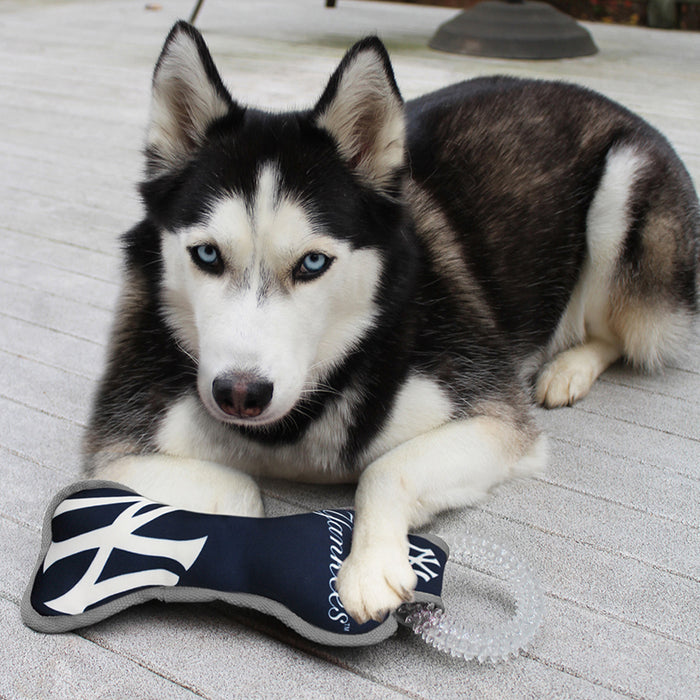 Post photos of your pet in Yankees gear - New York Yankees