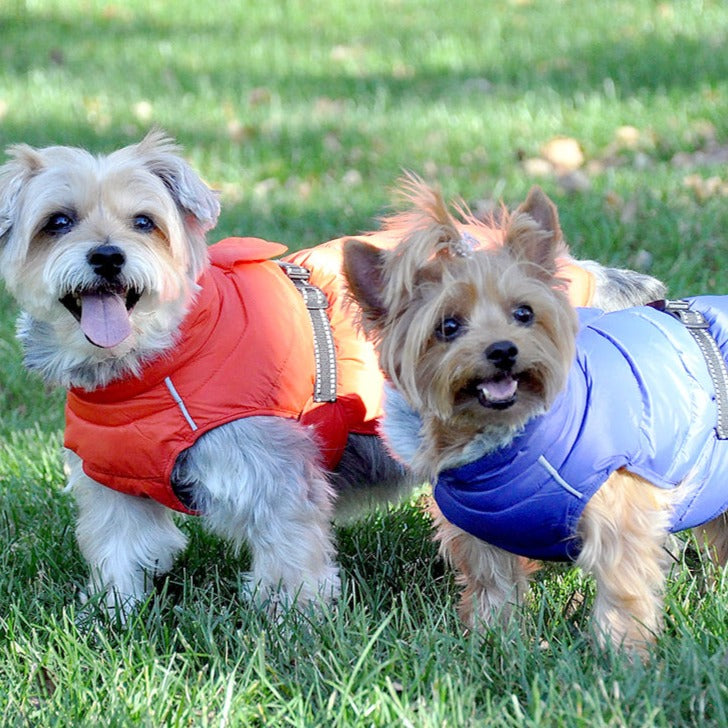 NFL Team Puffer Dog Vest