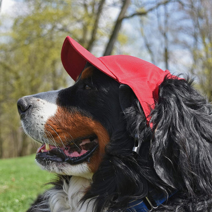 Los Angeles Kings Pet Baseball Hat – 3 Red Rovers