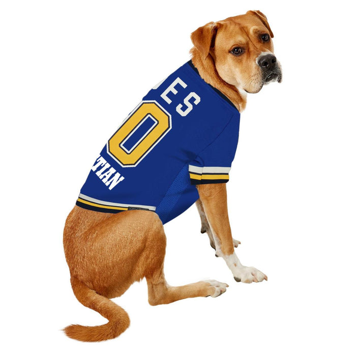 NHL New York Islanders Medium Dog Jersey
