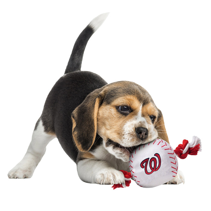 Washington Nationals Pet Jersey – 3 Red Rovers