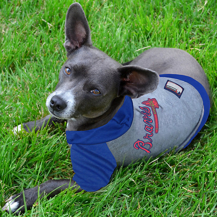 Atlanta Braves V-Neck Dog Jersey