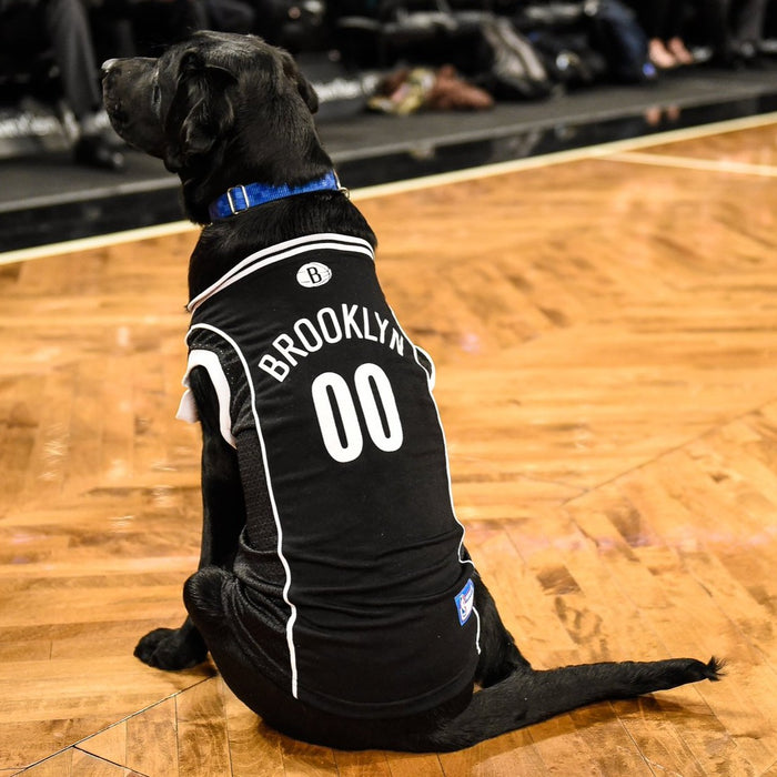 Boston Celtics Pet Jersey