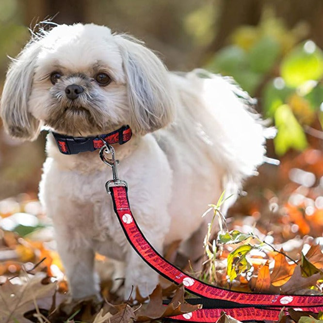 Philadelphia Phillies Satin Dog Collar or Leash – 3 Red Rovers