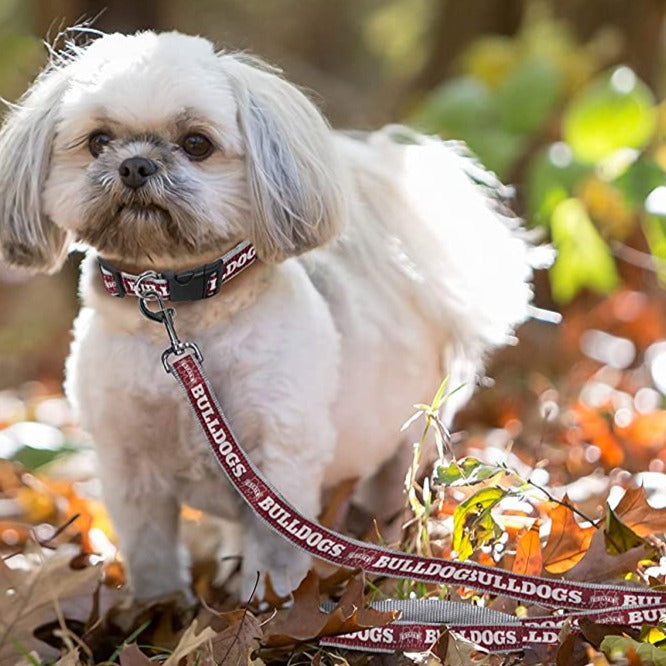 Louisville Cardinals Dog Leash – 3 Red Rovers