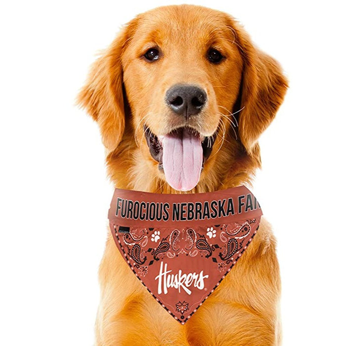 Nebraska Dog Bandana  Nebraska Cornhuskers Pet Collar Bandana