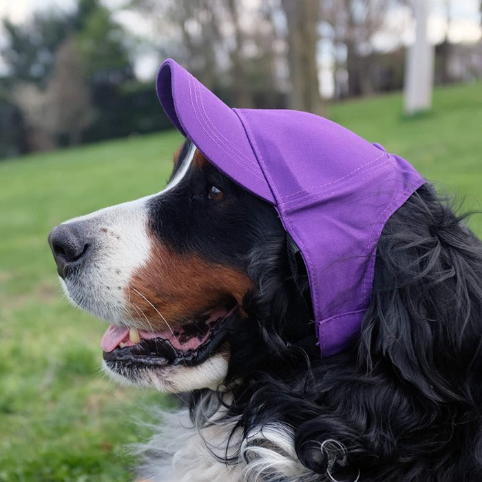 Indianapolis Colts Pet Baseball Hat