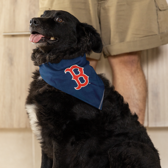 Chicago Cubs Tie-On Bandana – 3 Red Rovers