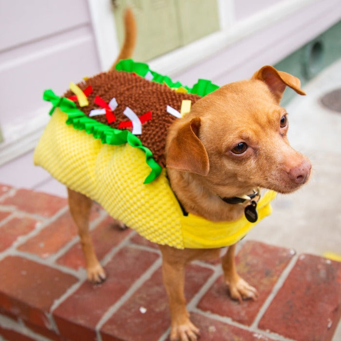 taco costume for dogs