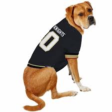 Los Angeles Kings Cat Jersey – 3 Red Rovers