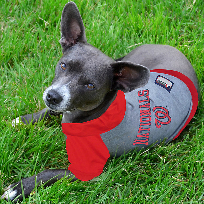 MLB SAINT LOUIS CARDINALS Dog Collar, Medium