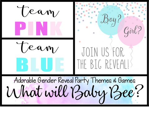 An Example of a Gender Reveal Party Invite