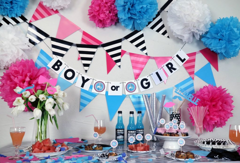 Gender Reveal Supplies Blog – G. R. S.