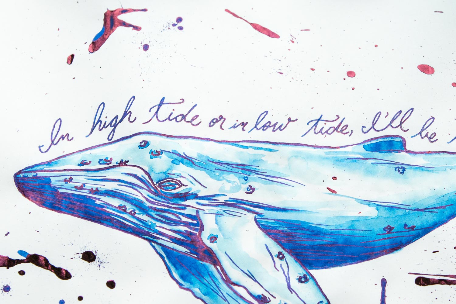 Painting Whales – Fountain Pen Inks and bleach