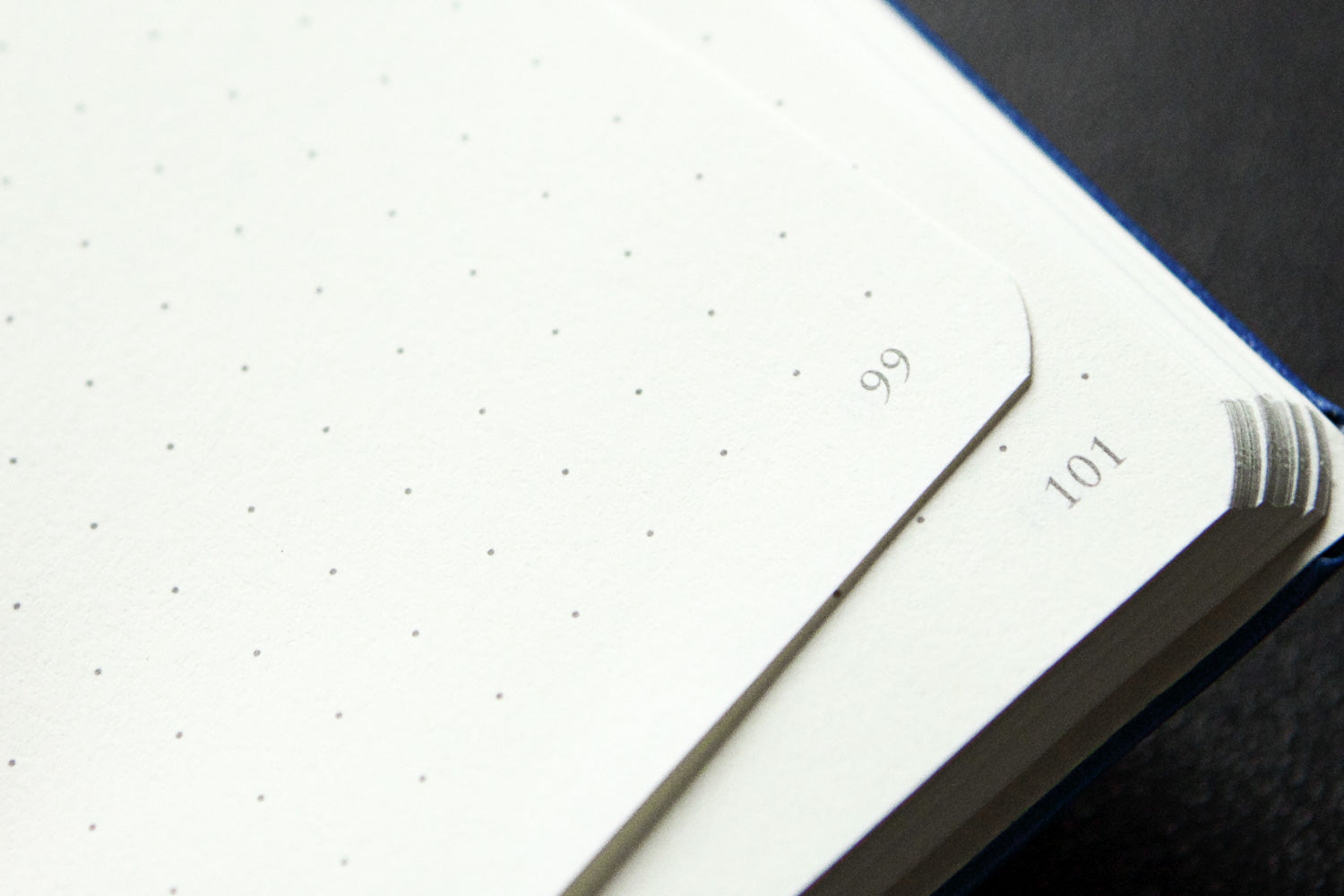 Numbered pages on a dot grid notebook