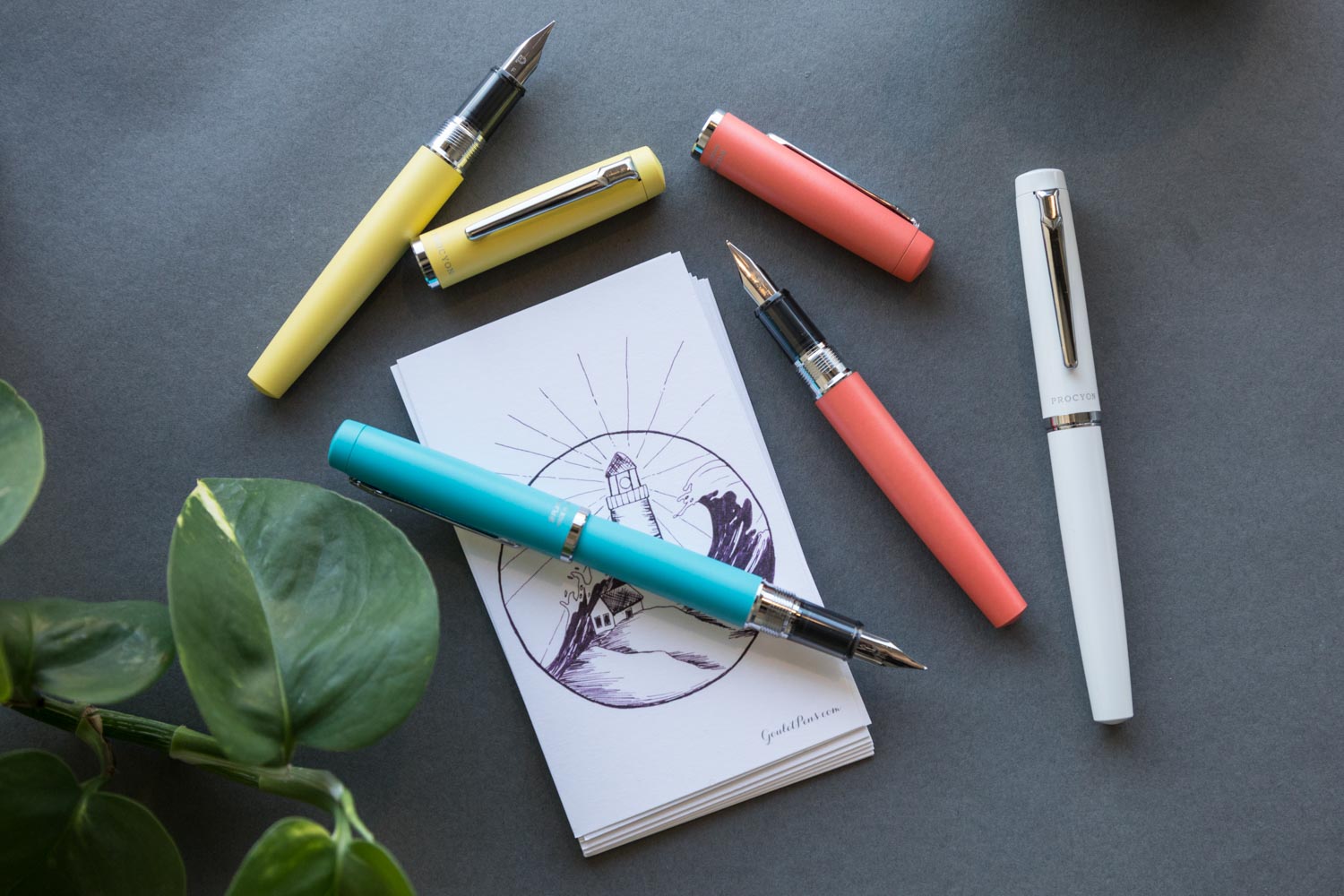 Scattered colorful fountain pens on a dark desk with a plant