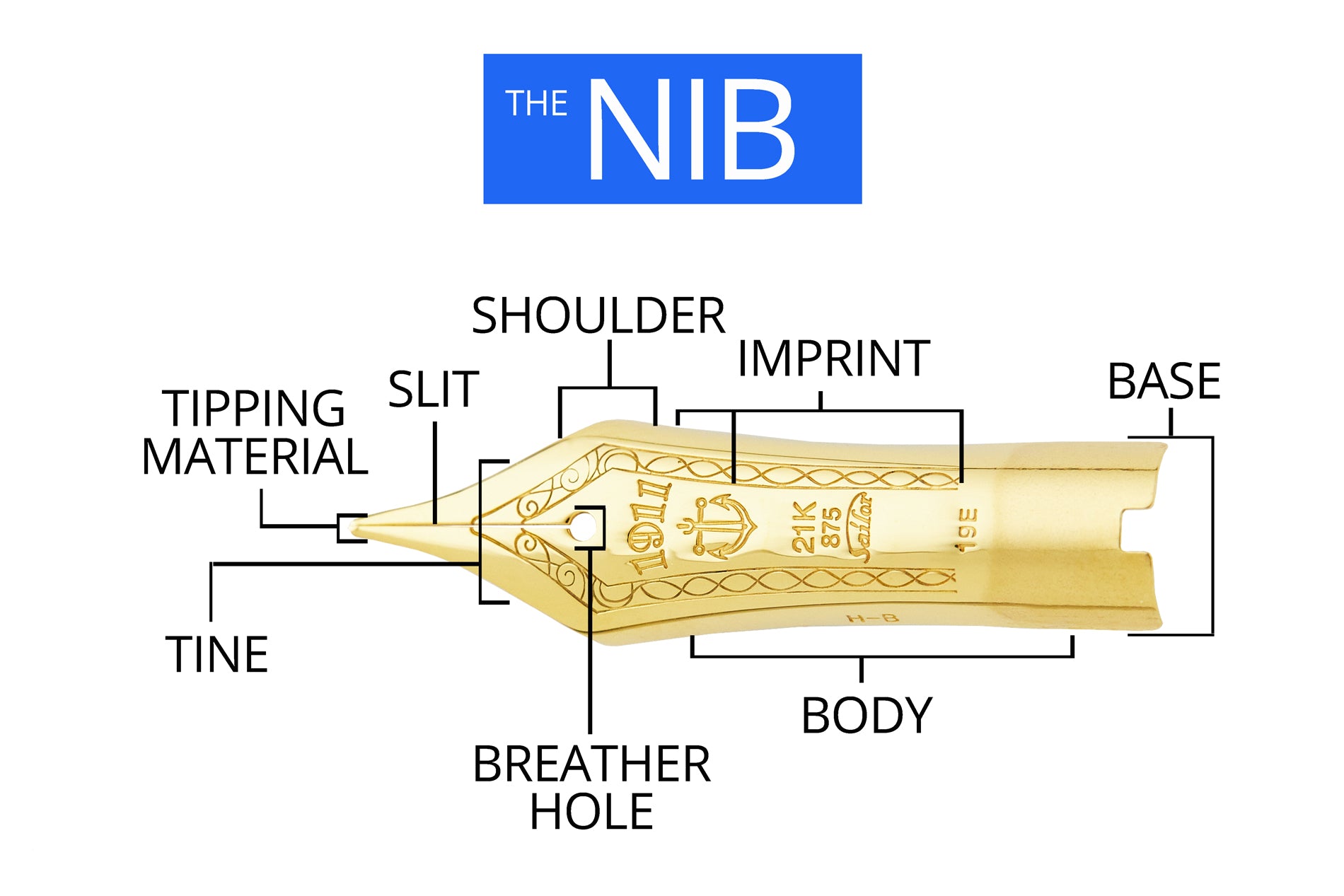 Infographic labeling parts of a fountain pen nib