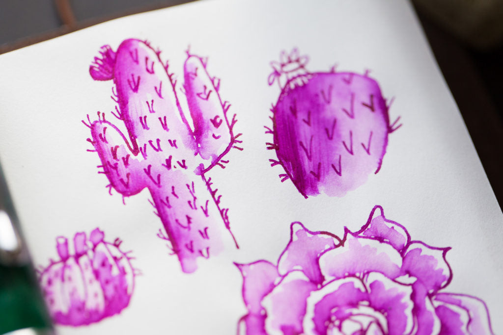 Noodler's Cactus Fruit Eel drawing of a cactus
